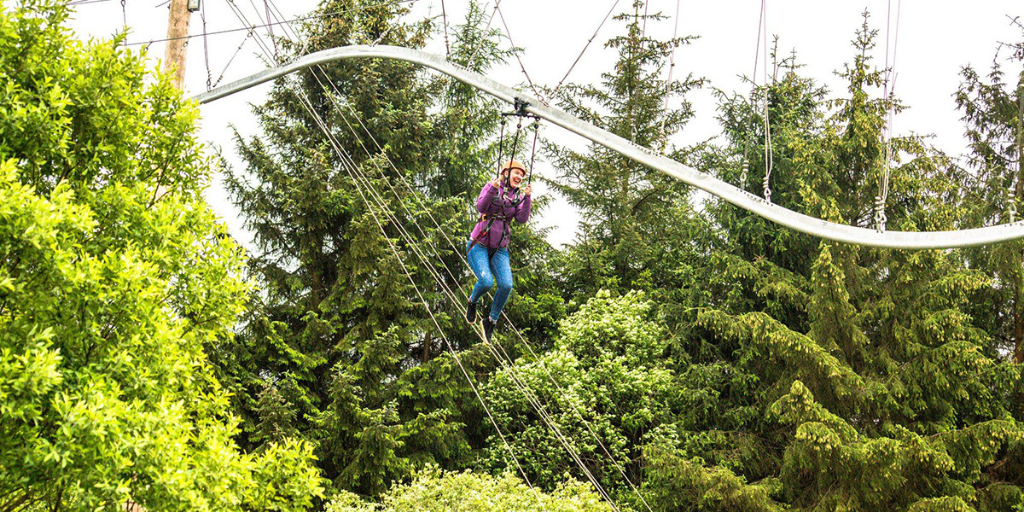 Roller Coaster Zipline The Thrilling and Profitable Amusement